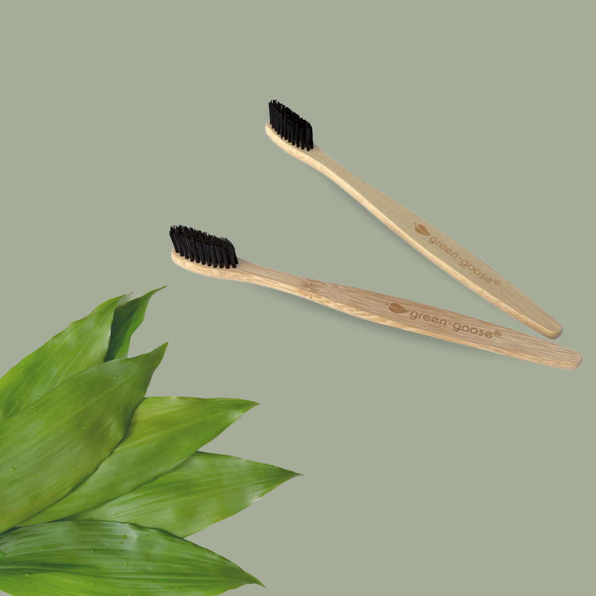 green-goose Bamboo Toothbrushes | 8 Pieces | Hard