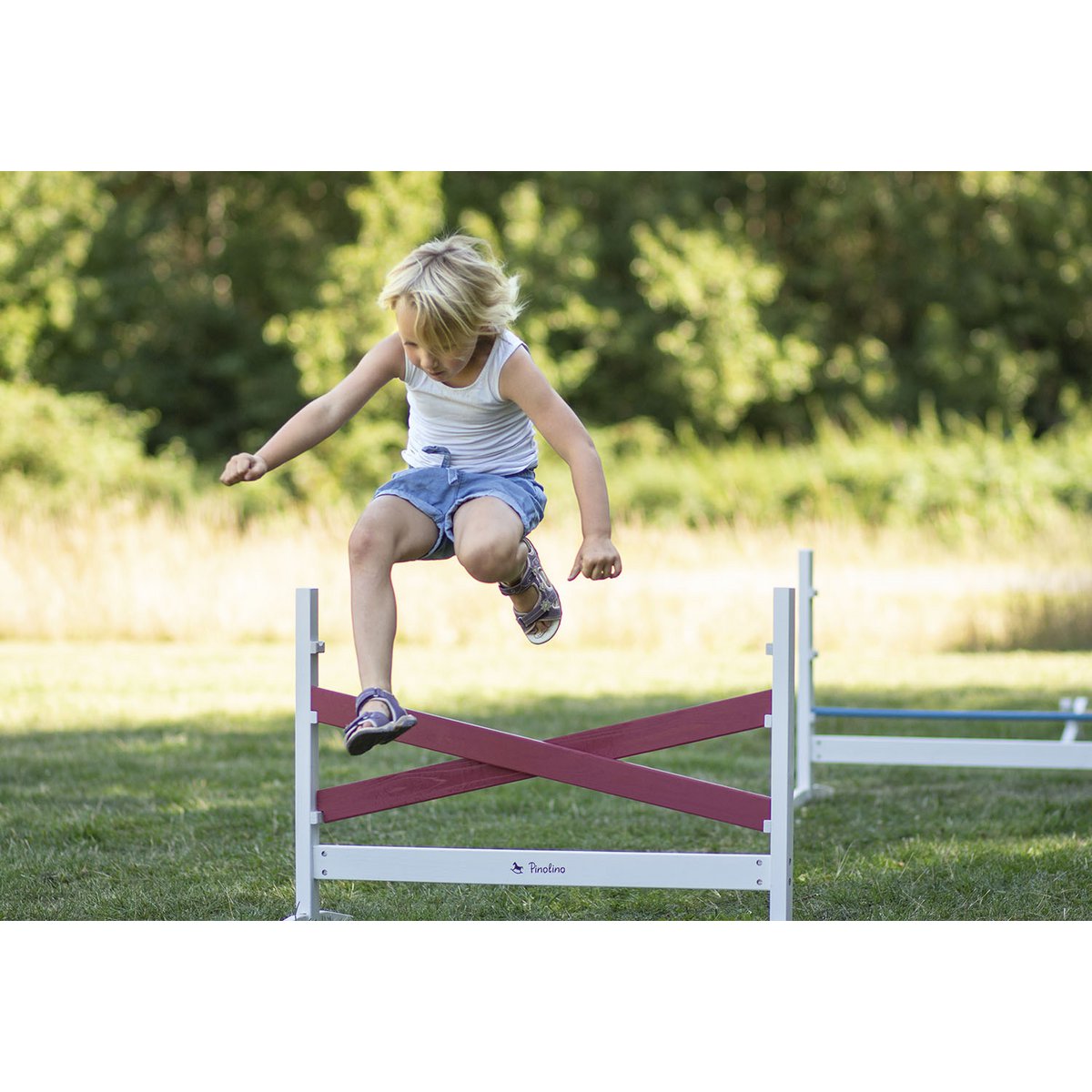 Hurdles 'Jumper', 3 parts