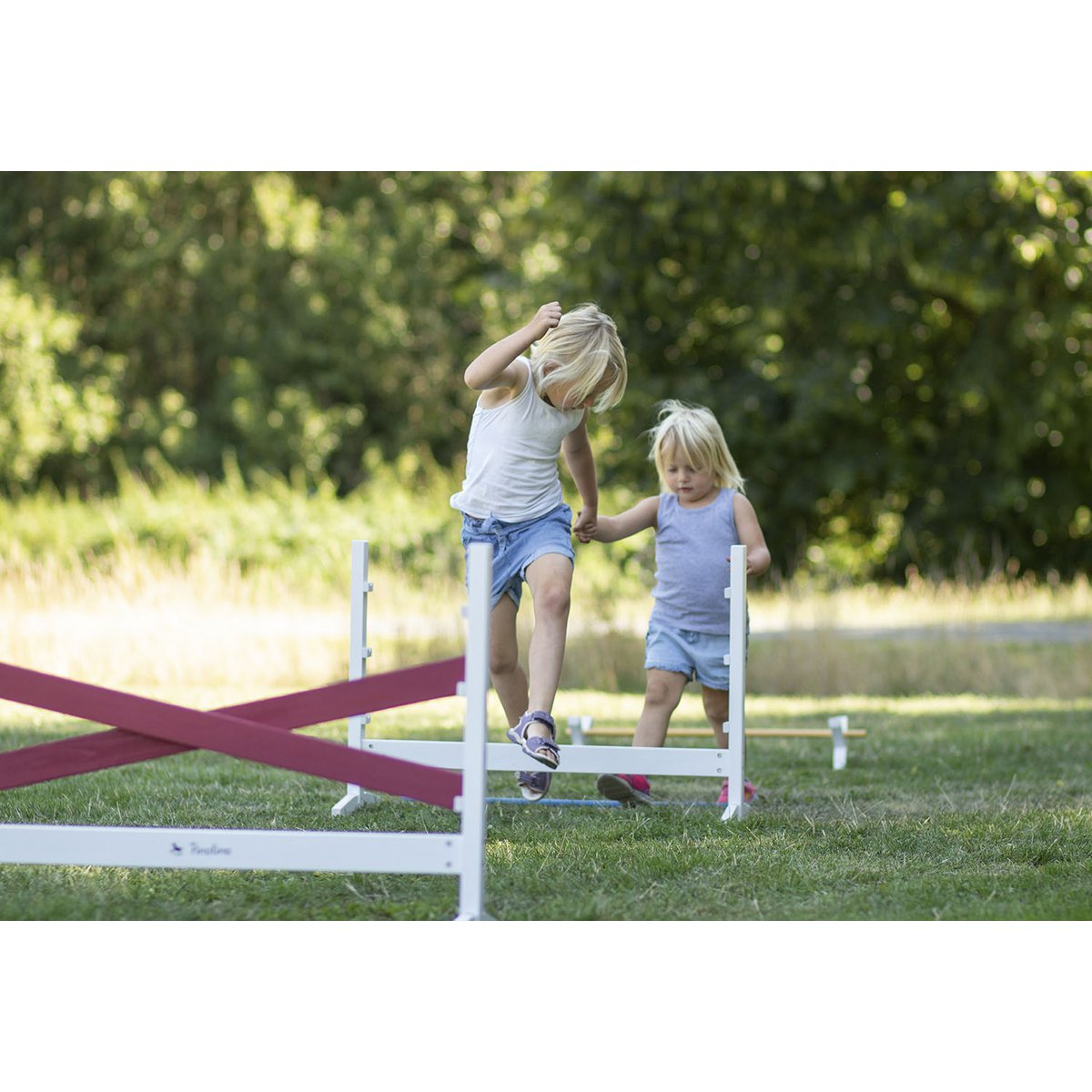 Hurdles 'Jumper', 3 parts